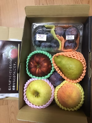 みんなの投稿の画像