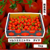 【特別栽培農産物】ソムリエミニトマト　ダイヤ