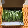 鹿児島産サヤインゲン500g^_^
