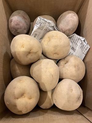 みんなの投稿の画像