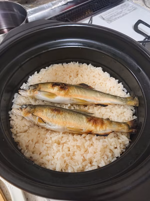 みんなの投稿の画像