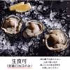 【生食可】【天然】有明海産住之江牡蠣　スミ☆スター