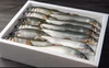 湯布院・銀鱗鮎　名水育ち　生鮎1ｋｇ　(１0匹～１3匹）