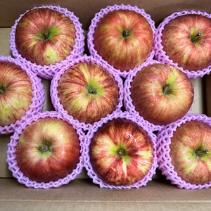 【セール中】りんご つがりんご 大玉 旬のパリパリりんご  リンゴ アップル 