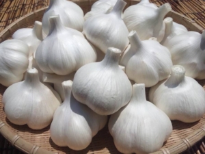 14523224_961242233985887_3081961987812273851_n