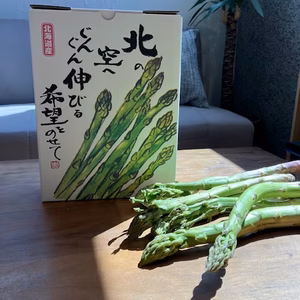 【訳あり】北海道中富良野産アスパラ１ｋｇ【露地栽培】太くてジューシー♪