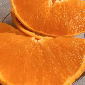 衝撃の糖度16度！！　愛媛の高級柑橘　女王　せとか　家庭用　農家直送