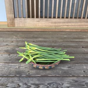 自然栽培のにんにくの芽　500ｇ