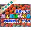 【予約２】夏秋いちご規格外品　内容量約１．５キロ【数量限定】