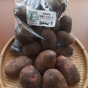 有機じゃがいも（デストロイヤー）土付き