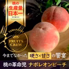 【お中元ギフト】７月予約☆ニノさんTV出演☆硬さ×甘さの饗宴のナポレオンピーチ