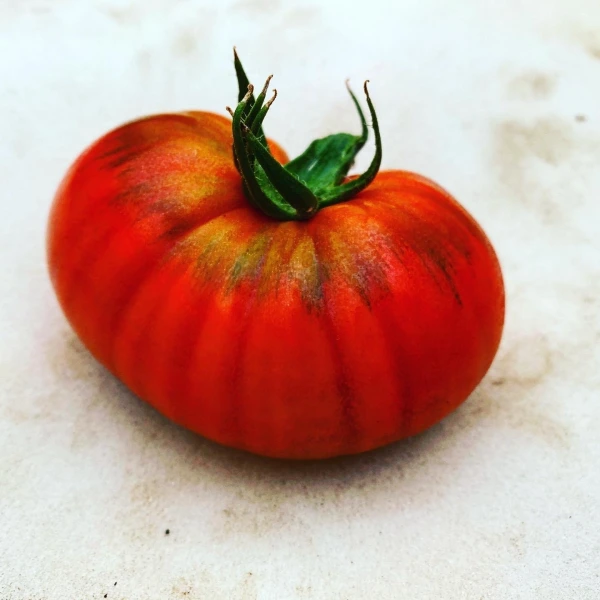 小菅農園/Kosuge FARM