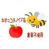 12月発送！長野県認証栽培の蜜りんご！サンふじ