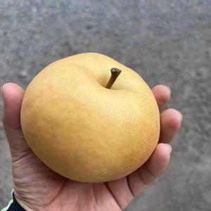 南水梨 3kg  長野県南信州原産