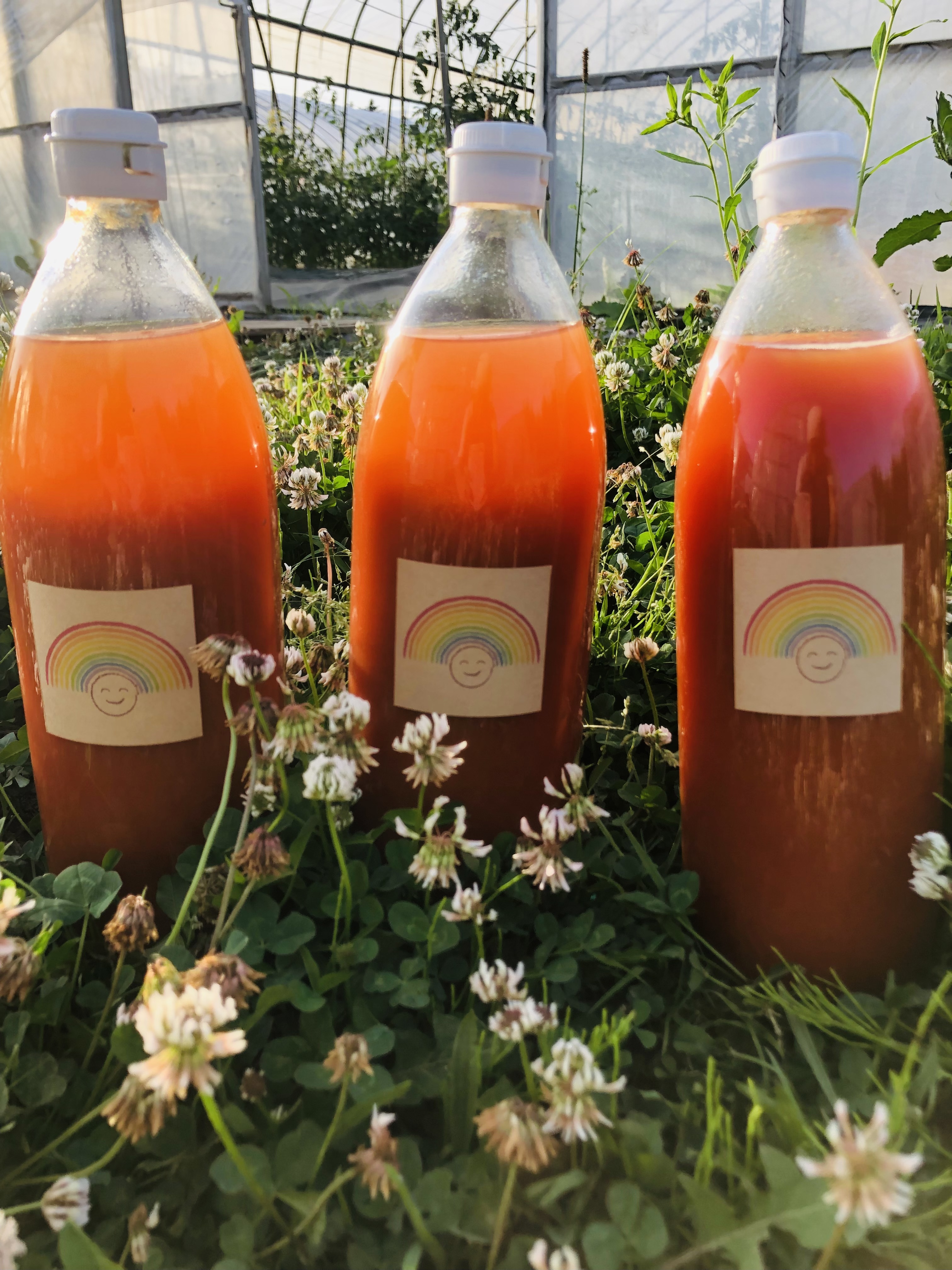 北海道トマトジュース「カナンの丘の滴」1000ml 6本セット