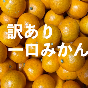 【超小玉】島の一口みかん 広島県瀬戸田産