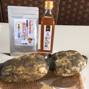 黒木農園　れんこんお試しセット