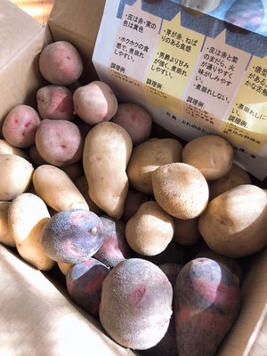 みんなの投稿の画像