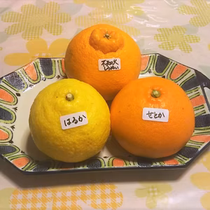 春みかん3種（せとか＆はるか＆不知火しらぬい）3kg詰合せ