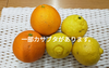 【旬の果実詰め合わせ2021】女性人気No.1 はるか&香り高いネーブルオレンジ