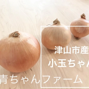 春野菜【小玉ちゃん】【大玉ちゃん】ミックス玉ねぎ 使い切りサイズ  2キロ