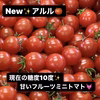 【糖度10度】アルル✨甘〜いフルーツミニトマト★