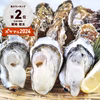 殻付き牡蠣３kgと生食用剥き身500ｇが２本で1ｋｇセット 松島牡蠣屋　牡蛎 