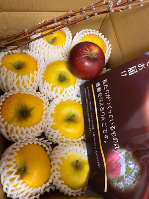 みんなの投稿の画像