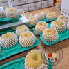 朝採れの完熟梨【豊水】千葉県船橋市産♡食べたらトリコ