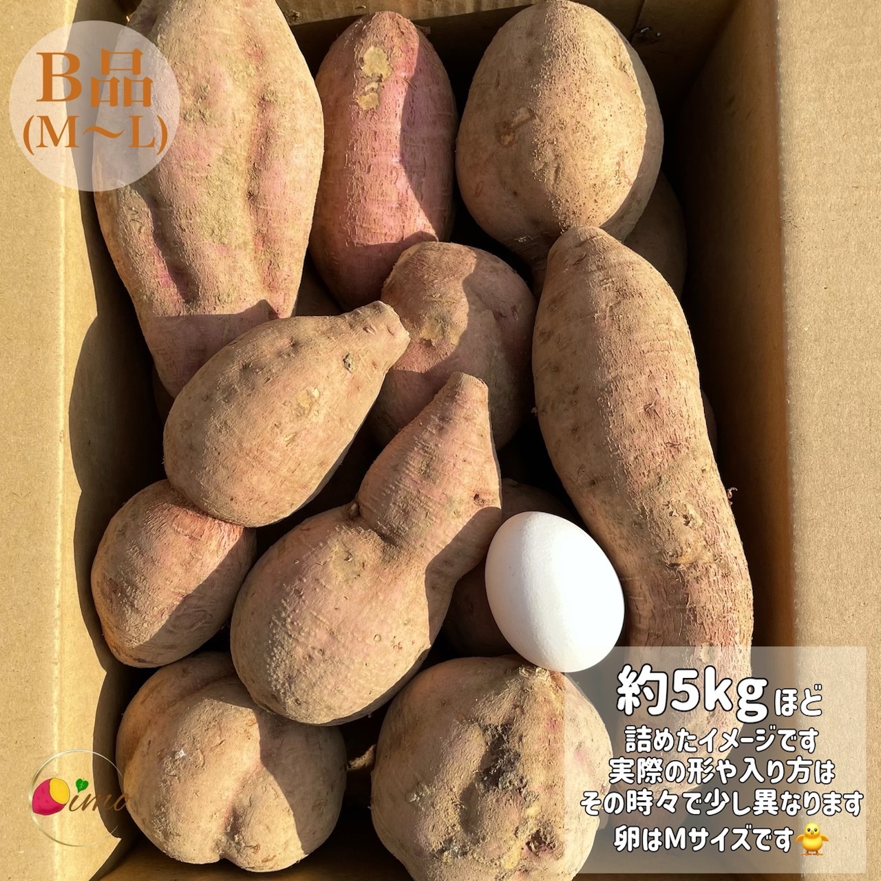 絶品】種子島産 安納芋 B品（M〜Lサイズ）｜aimo農園｜さつまいもの