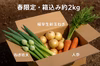 【旬野菜セット】春のかき揚げに！ねぎ坊主＋極早生新玉ねぎ＋人参（箱込み約2kg）