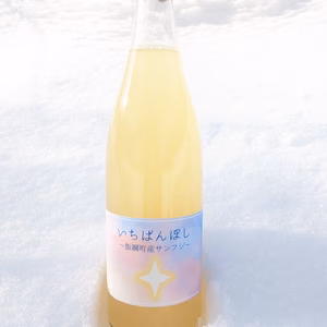 ＜りんごジュース二本セット＞毎日にジュースで彩りを【相澤農園】