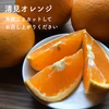 ［訳ありセール］加工向きのアマキヨ(甘夏と清見)【農薬不使用】