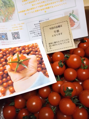 みんなの投稿の画像