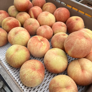 ご家庭用訳あり桃　川中島　約2キロ入り