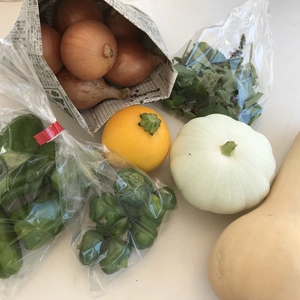 夏のお届けvol.2夏の土の子野菜セット【農薬、化学肥料不使用】