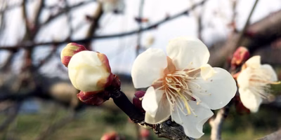 やっぱり、繋がっていたい