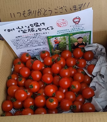 みんなの投稿の画像