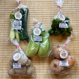 濃甘！野菜セット2倍量 農薬・化学肥料不使用♪個包装