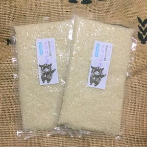 イタリア米♪和みリゾット300ｇ×2袋【岡山県備前市】R1年度産