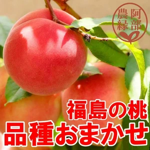 【桃の予約】福島の完熟もも　品種おまかせ　ギフト・贈答用【7月下旬～お届け】