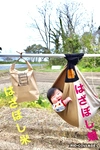 令和元年産　石川県産コシヒカリ　はざ干し米