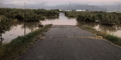 買って支援、食べて支援。台風被害応援食材