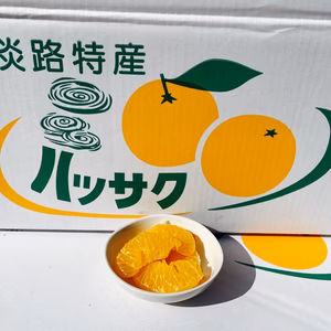 スッキリ爽やかな淡路島うしろ農園のはっさく（5kg）