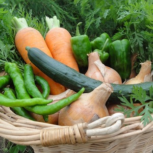 【来てのお楽しみ】自然栽培♪おまかせ収穫野菜セット