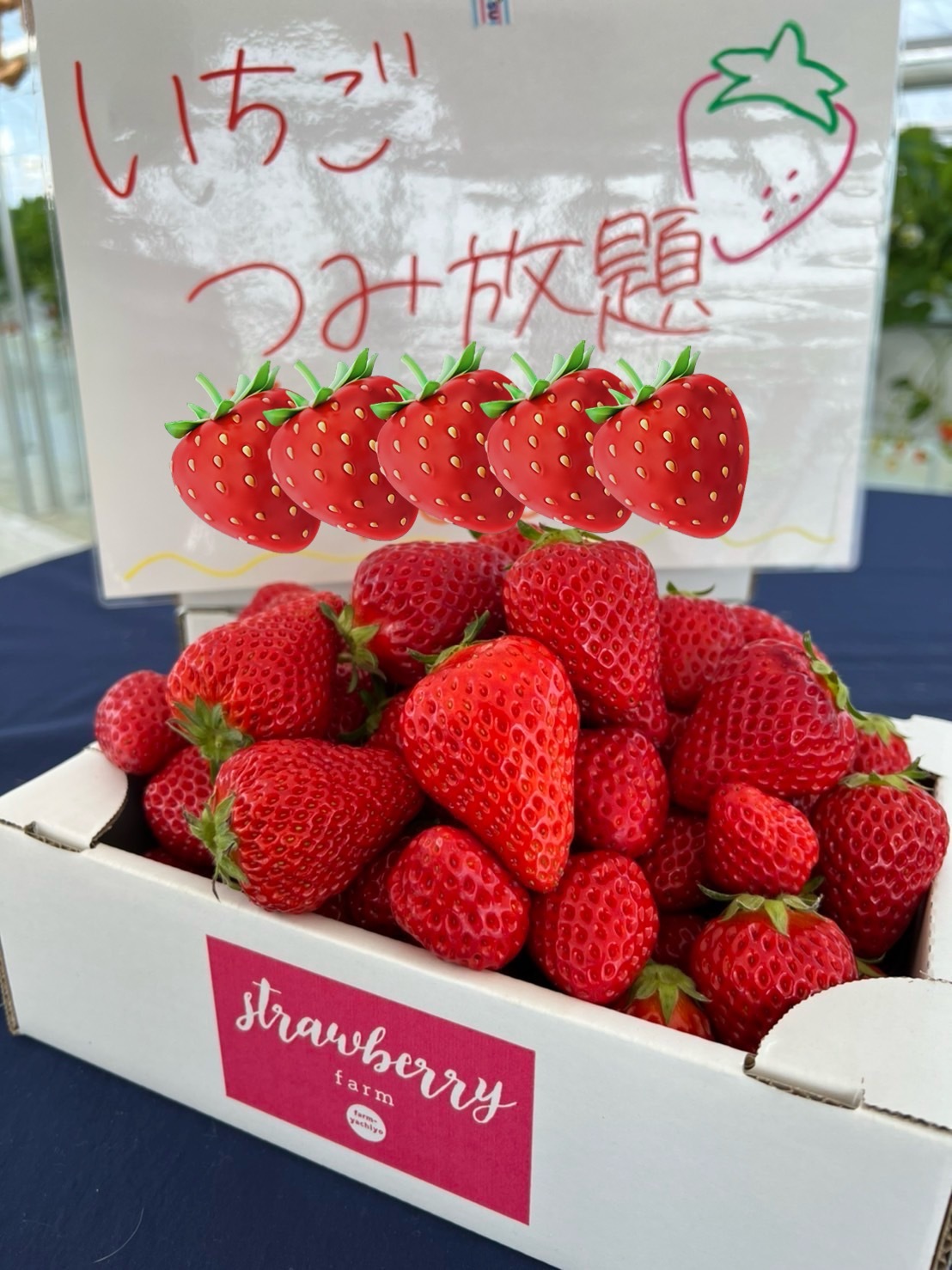 消費税無し 複数購入用 水耕栽培 ヘタなし！｜いちごの商品 6kg 冷凍いちご 果物