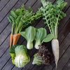 久松農園の野菜セット（木曜日着・クール便）