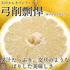 ＼幻のかんきつ／超希少！弓削剽悍（ゆげひょうかん）訳あり2kg