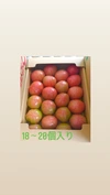 食べたら納得！「ポットファクトリー産」大玉トマトご家庭用2Lサイズ