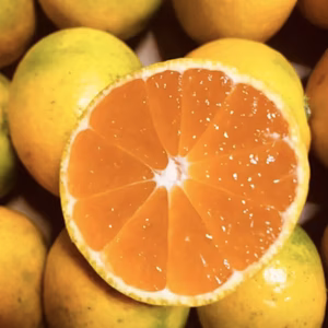 【2kg/5kg】甘酸っぱい〜⭐︎ 運動会みかん　小玉だよ★